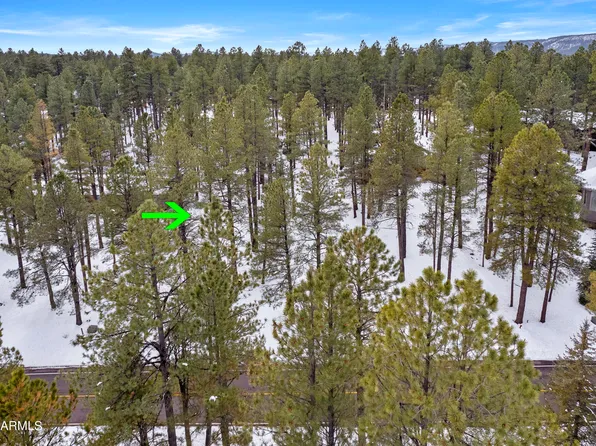 5817 Griffiths Spring -- #34, Flagstaff, AZ 86005