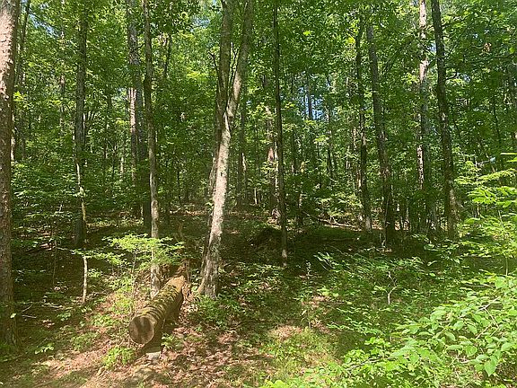 4th image of 154 Montanoso Way