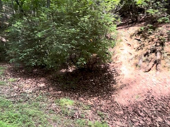 5th image of 1127 Quail Cove Dr