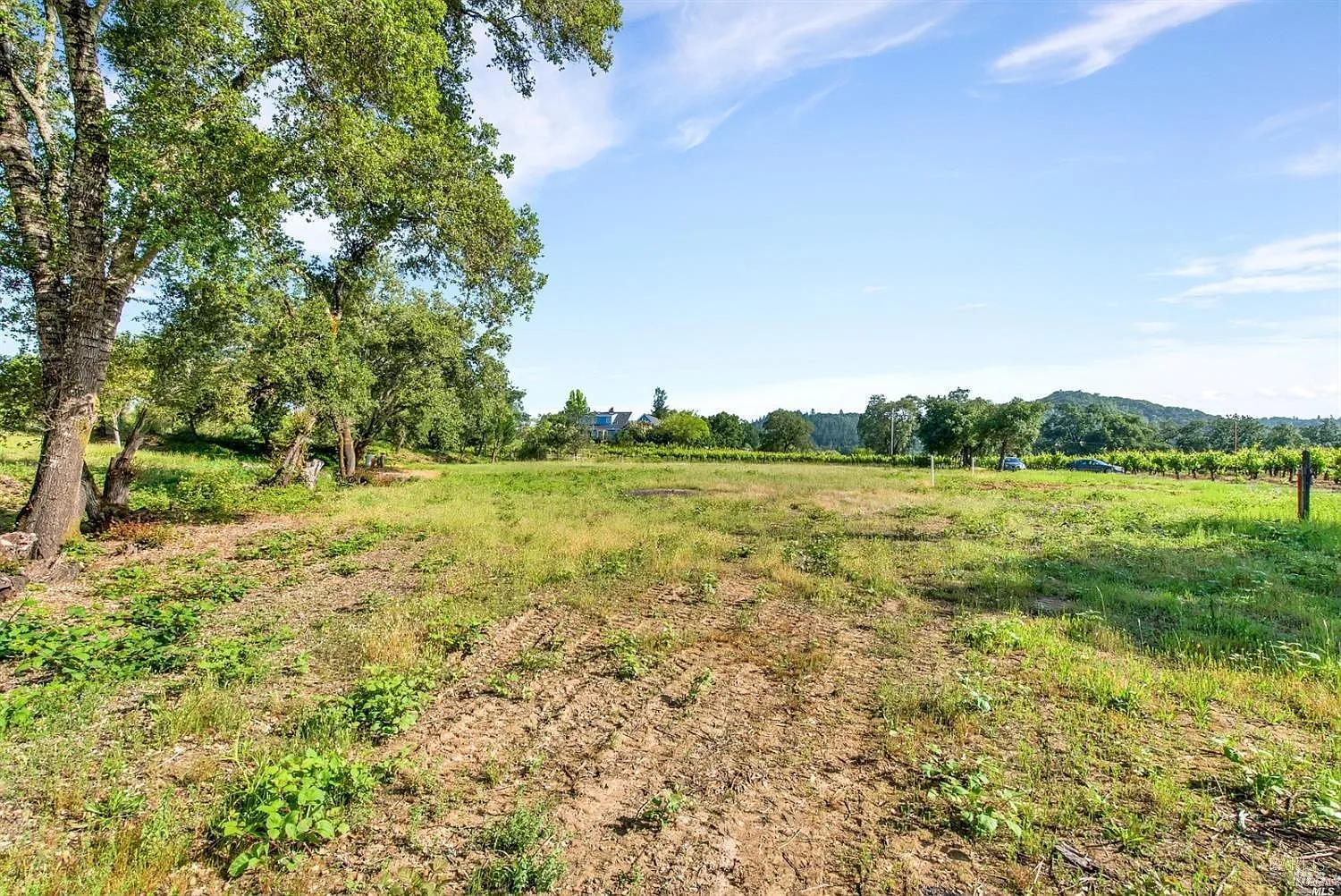 1100 Lytton Springs Road - Photo 5