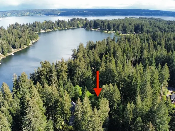 11110 108th st, Anderson Island, WA 98303