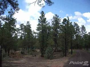 4288 Pioneer Ln, Lakeside, AZ 85929