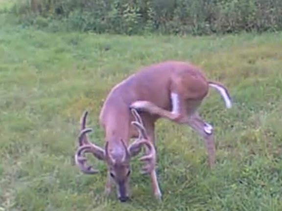 69th image of this home