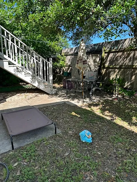 2 bed, 730 sqft, $1,350 — Photo 4