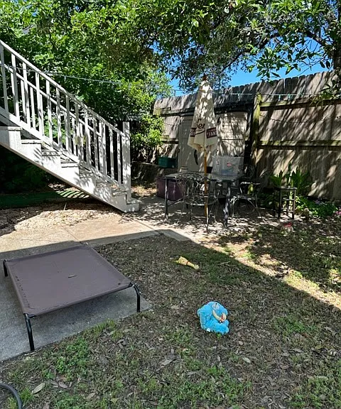 2225 Dauphine St #B — Photo 4