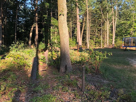 4th image of 1096 Willshire Dr