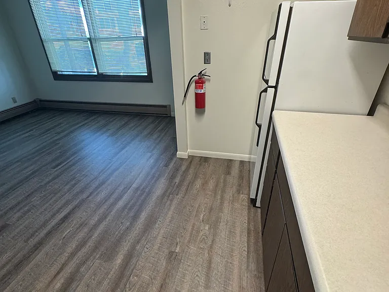 429 N Gilbert St — Photo 11
