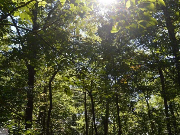 5 Hemlock Ln, Clayton, GA 30525