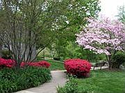 landscaping on property