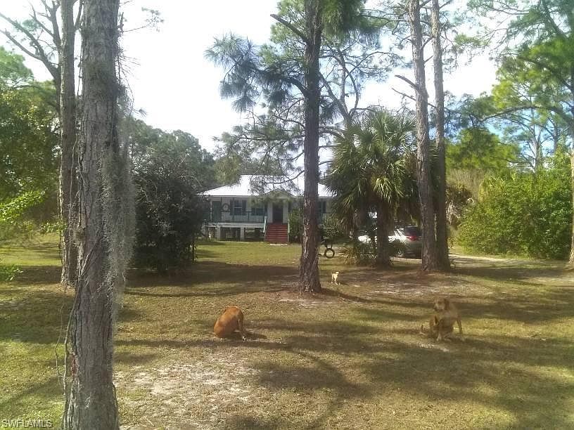 1st image of 380 N Cabbage Palm St