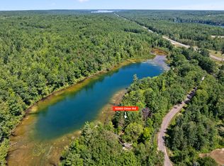10360 Otter St, Gaylord, MI 49735