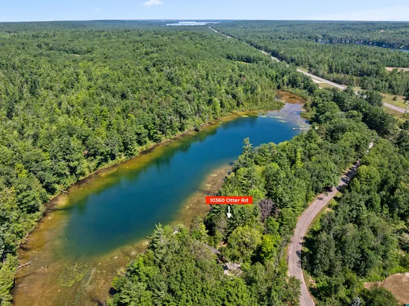 10360 Otter St, Gaylord, MI 49735