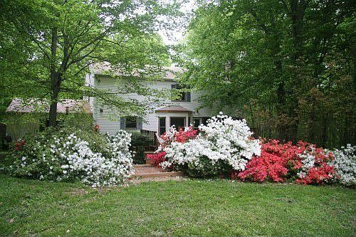 3rd image of 11760 Buckley Ct