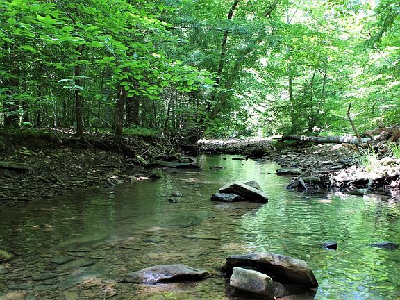 900'' of Brushy Creek, a blue line stream running west to east through the property