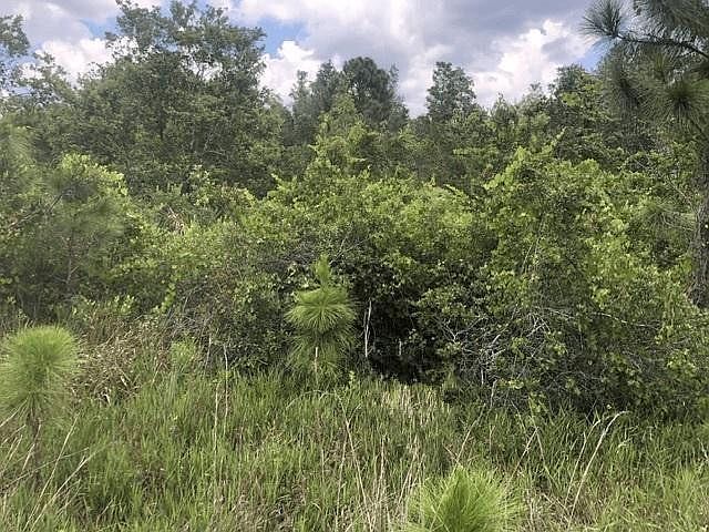 1st image of 0 Xeriscape Nursery Road