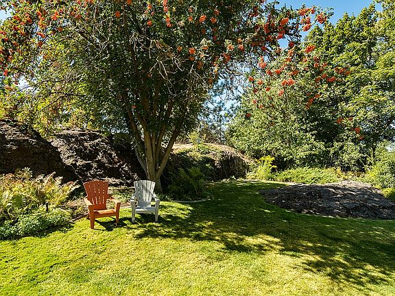 Mt. Ash and Cherry Tree 