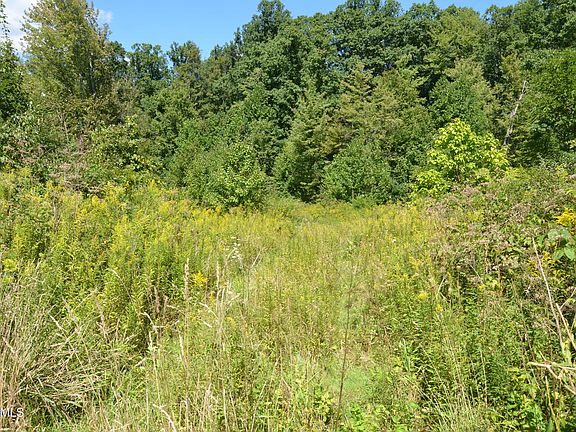 3rd image of 1620 Reightown Rd