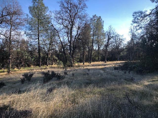 2nd image of Arbor Vitae Dr