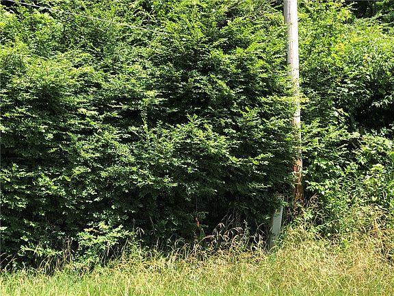 2nd image of 224-225 Old Mill Rd