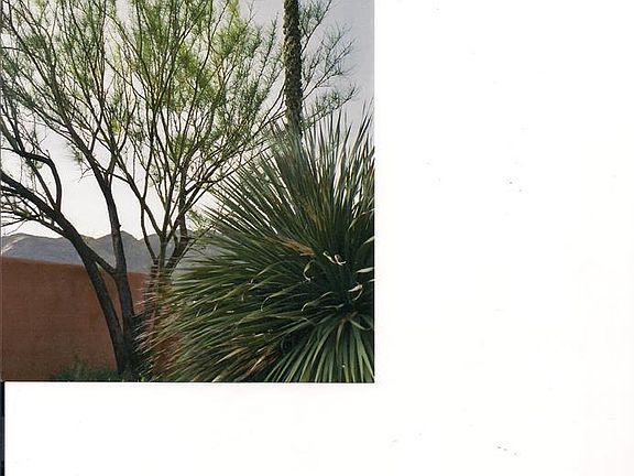 4th image of 418 N Silver St
