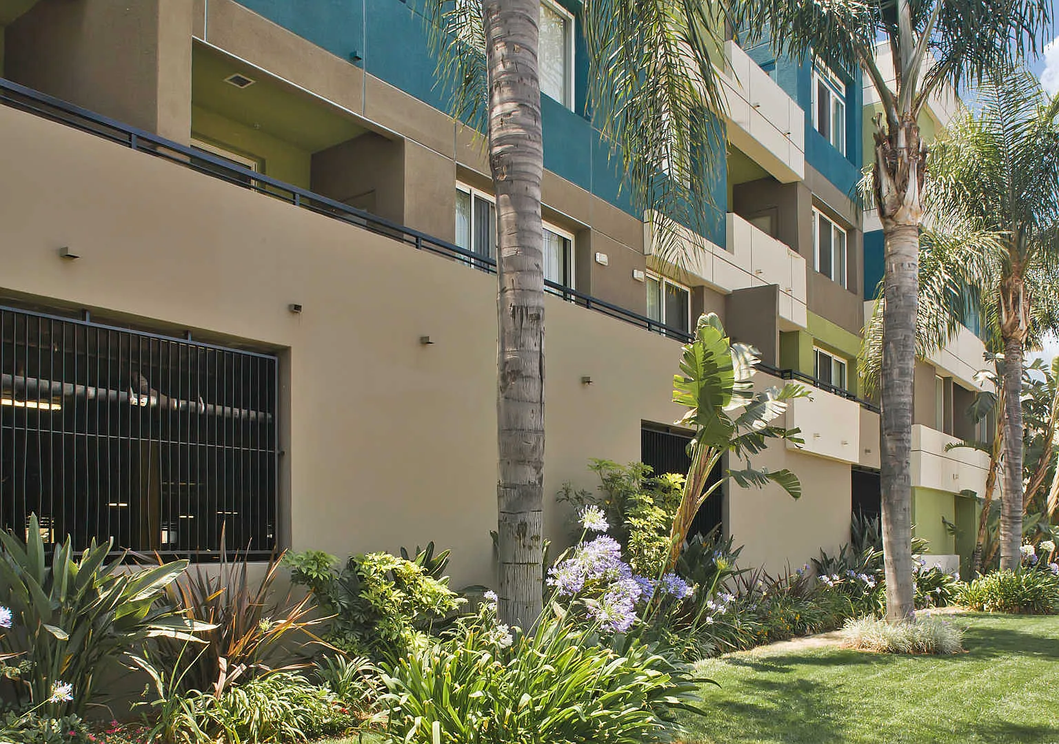 Lindley — Photo 2