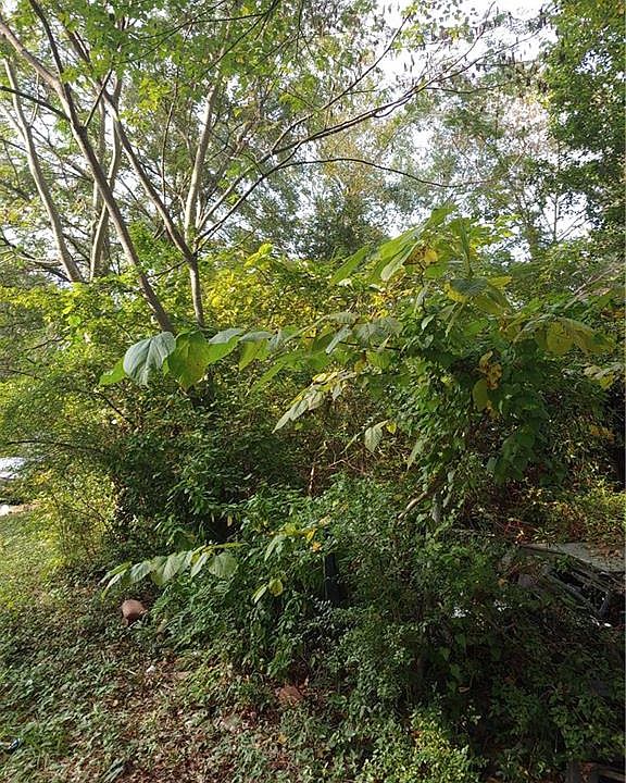 2nd image of 2190 Lang Dr SW Lot 1
