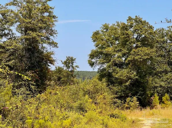 19 Morgan Ln, Molino, FL 32577