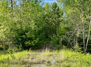 988 E Mullett Lake Rd, Indian River, MI 49749