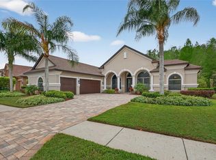 1607 Abyss Dr, Odessa, FL 33556