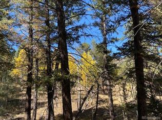 2352 Roland Dr, Bailey, CO 80421