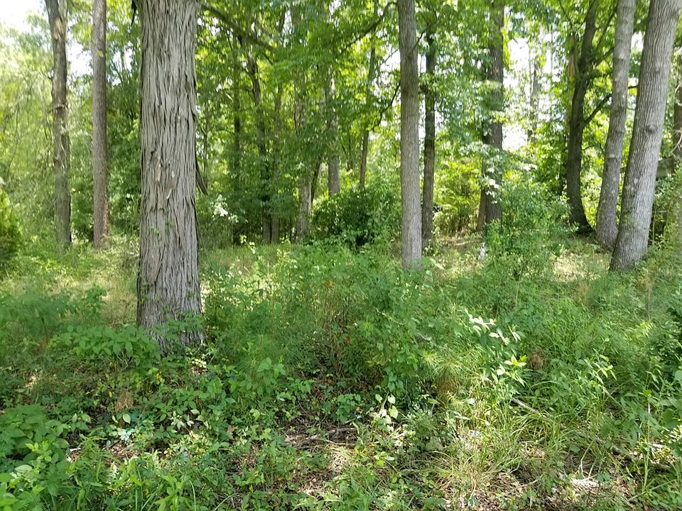 2nd image of 243 Woodland Rd