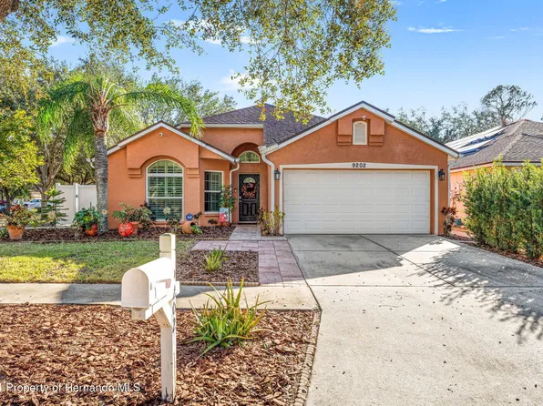 9202 Fawn Crossing Ct, Tampa, FL 33626