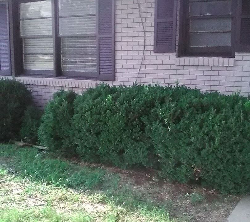 1st image of 3424 Meadow Dr