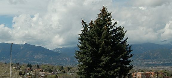 View looking southwest