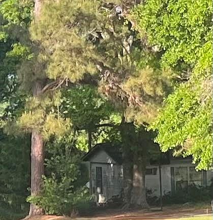 5th image of 510 Us Highway 231