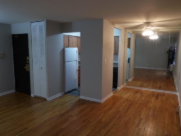 4th image of 521 W Briar Pl APT 314
