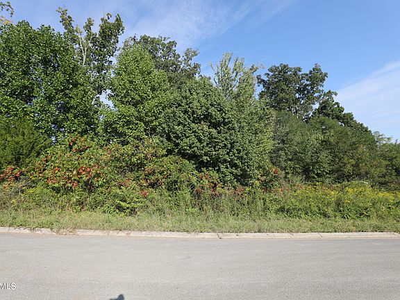 4th image of 154 Ponderosa Dr