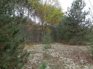 Healy Lake Rd, Bear Lake, MI 49614