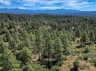 128 S Feather Court, Pagosa Springs, CO 81147