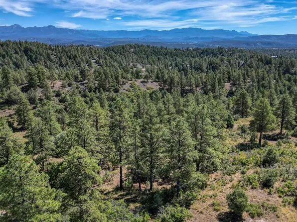 128 S Feather Court, Pagosa Springs, CO 81147