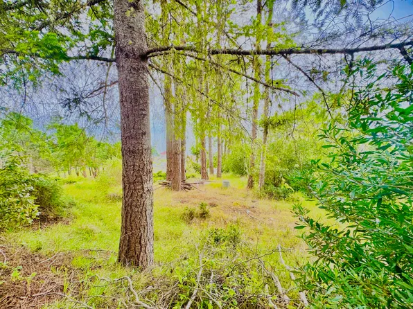 110 Albatross Rd, Whitethorn, CA 95589