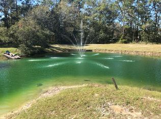 290 Lewis Rd, Jesup, GA 31545