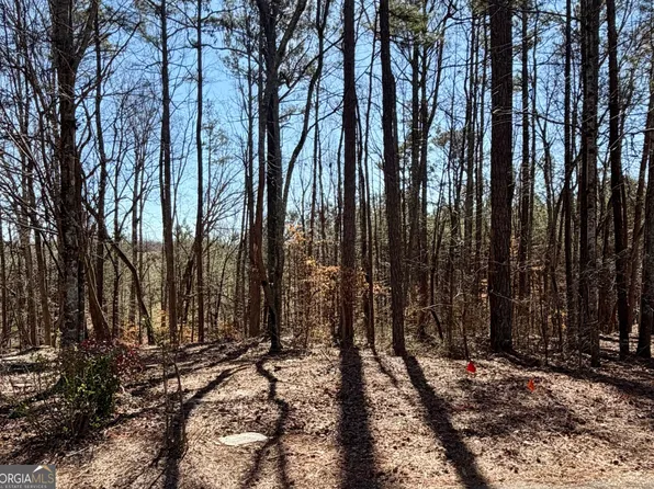 2487 S Carroll Ct, Villa Rica, GA 30180