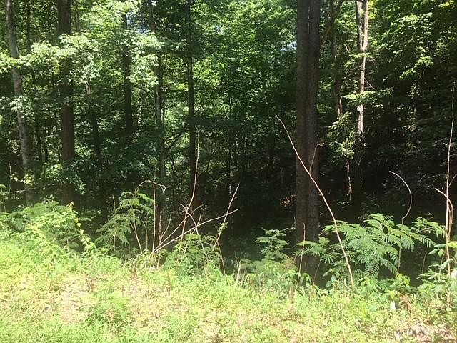 1st image of 5 Beech Ct Lot 5