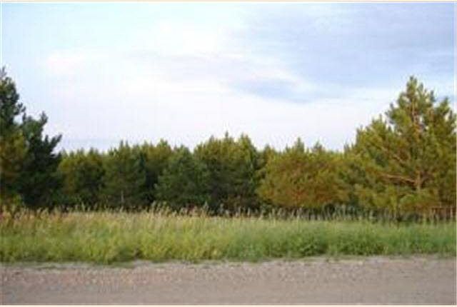 1st image of Amor Township Drive