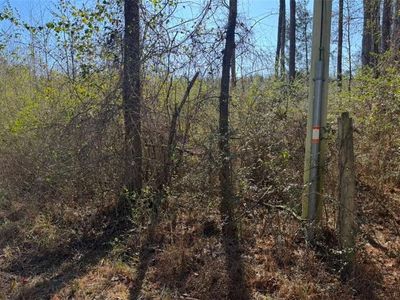 0 Norton Rd, Kingston, GA, 30145