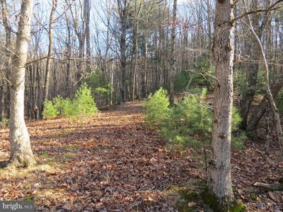 10 Cedarwood Drive Rd, Mathias, WV, 26812