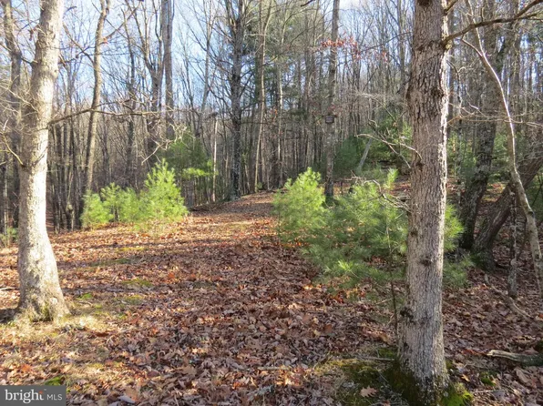 10 Cedarwood Drive Rd, Mathias, WV 26812