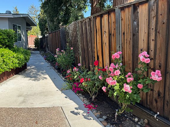 Long Landscaped Walkway