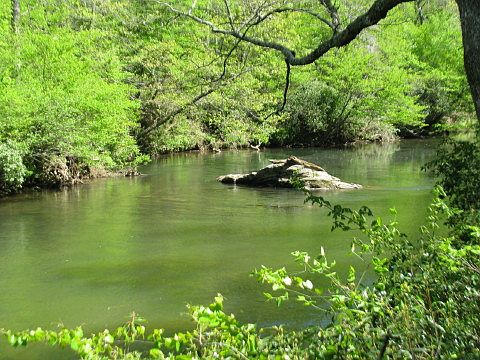 Chattahoochee River